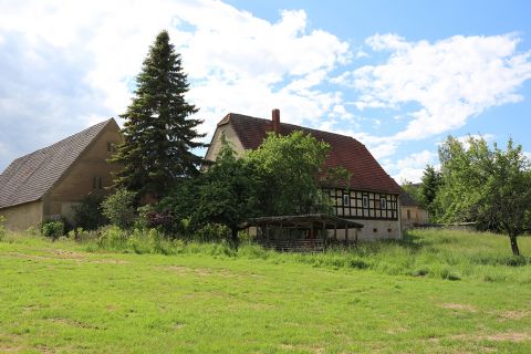 Bild: 2023-03/nia.jpg